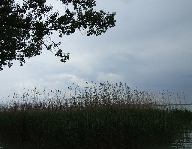2008_0503_thuis0011.JPG - Silance!