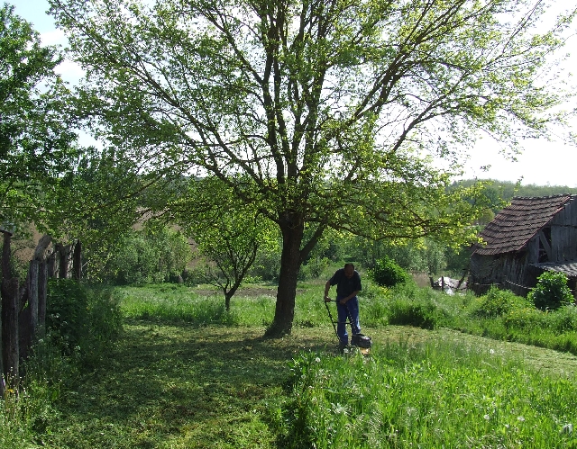 2008_0503_thuis0074.JPG - Shadow in The Garden