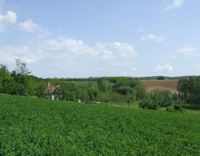 2008_0503_thuis0077.JPG - The Neighbours