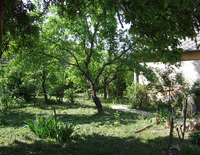 2008_0503_thuis0080.JPG - The Romantic Garden