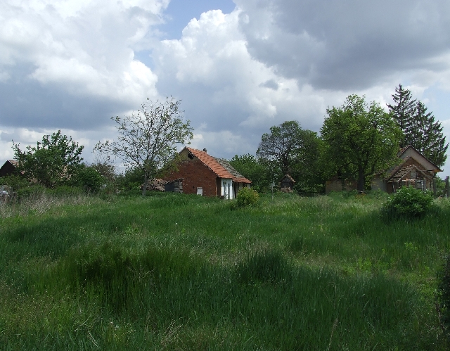 2008_0503_thuis0101.JPG - View from the Garden