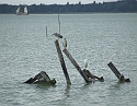 2008_0503_thuis0012