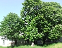 2008_0503_thuis0055