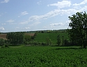 2008_0503_thuis0076