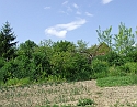2008_0503_thuis0079