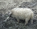 2008_0503_thuis0096