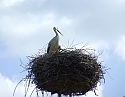 2008_0503_thuis0108