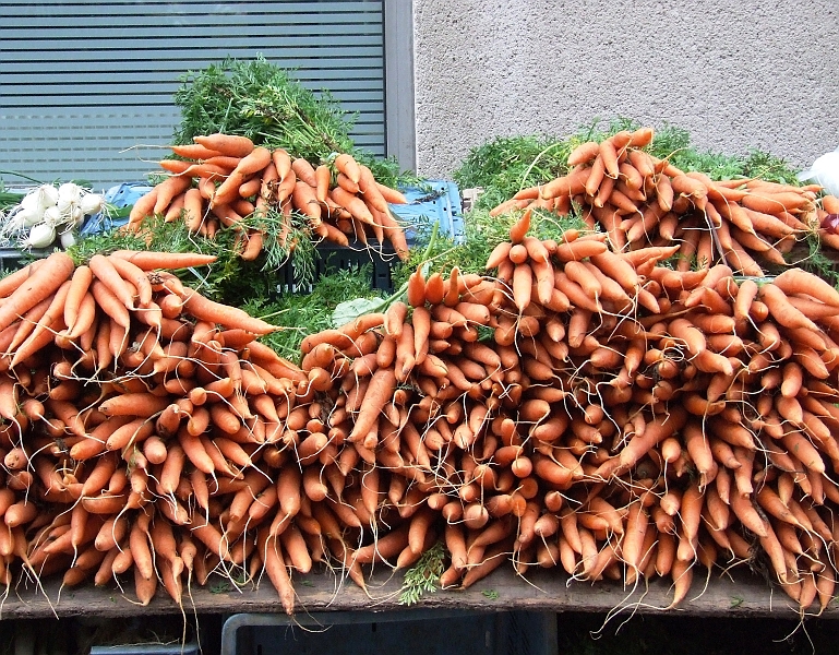 2009_08080039.JPG - Carrots