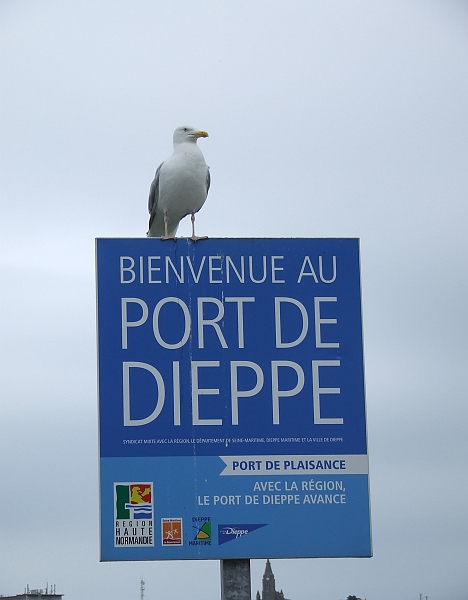 2009_08080054.JPG - Dieppe and the Lcal Market