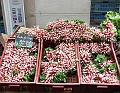 2009_08080038