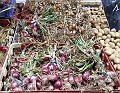 2009_08080042