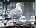 2009_08080052