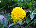 2009_08080067