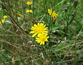 2009_08080072