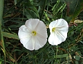 2009_08080090