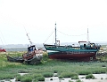 2009_08090011