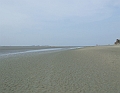 2009_08090015