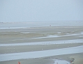 2009_08090018