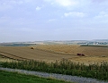 2009_08100023
