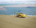 2009_08100025