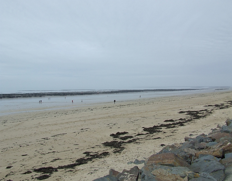 2009_0311_Normandie_Maart0089.JPG - Les Moules