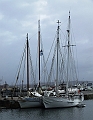2009_0311_Normandie_Maart0048