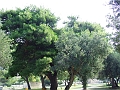 2009_0929_croatie0044