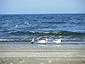 2009_1005_croatie0076