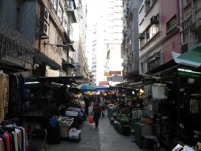 DSCF5664.JPG