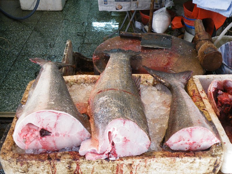 DSCF5955.JPG