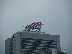 DSCF5491