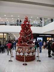 DSCF5644