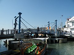 DSCF5952
