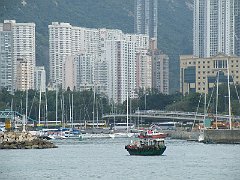 DSCF6115