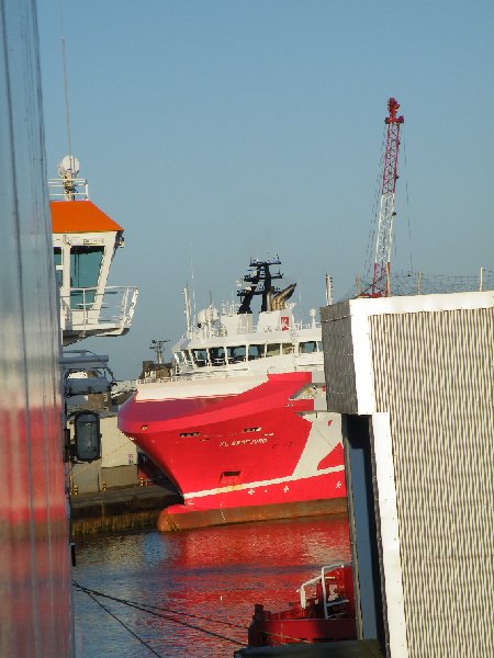 DSCF4136.JPG - Impressive Bow