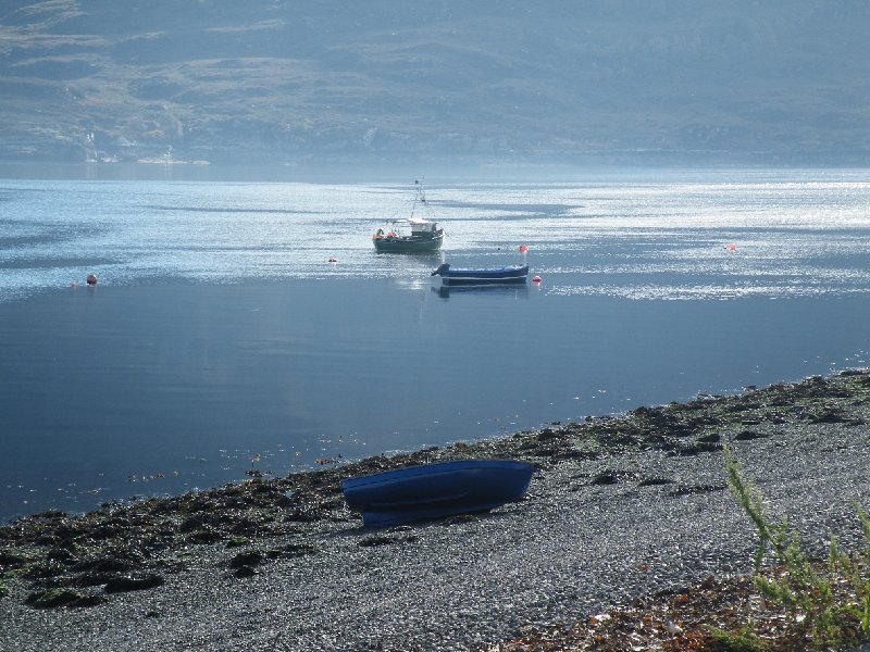 DSCF4391.JPG - Low Tide
