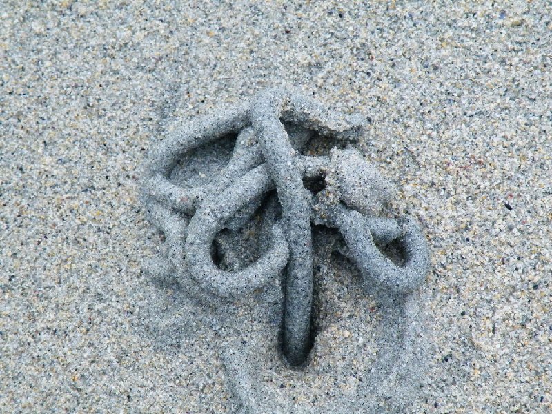 DSCF4476.JPG - Art of a Worm