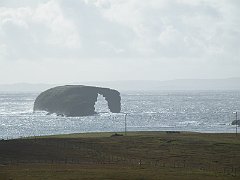 DSCF4175
