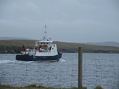 DSCF4202