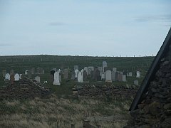 DSCF4242