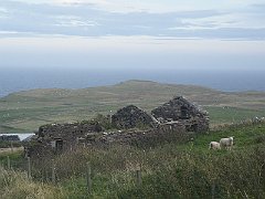 DSCF4246