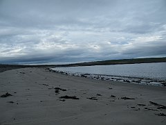 DSCF4278