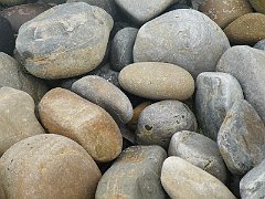 DSCF4281