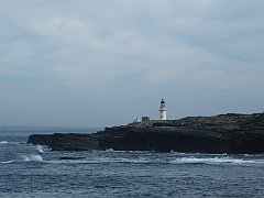 DSCF4324