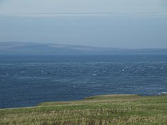 DSCF4337