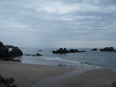 DSCF4365