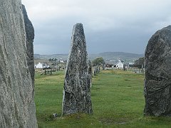 DSCF4456