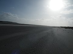DSCF4600