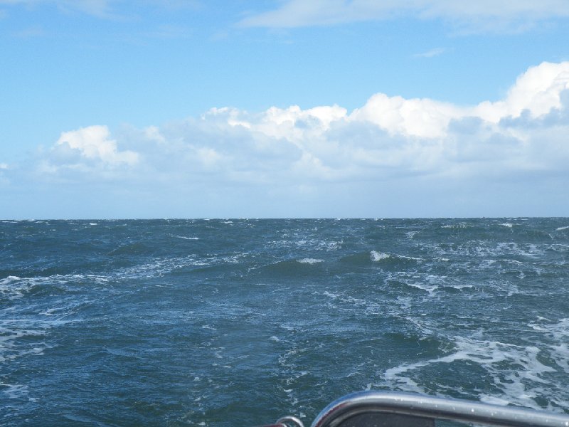 DSCF4868.JPG