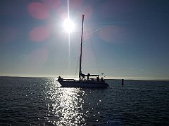20120325_095229